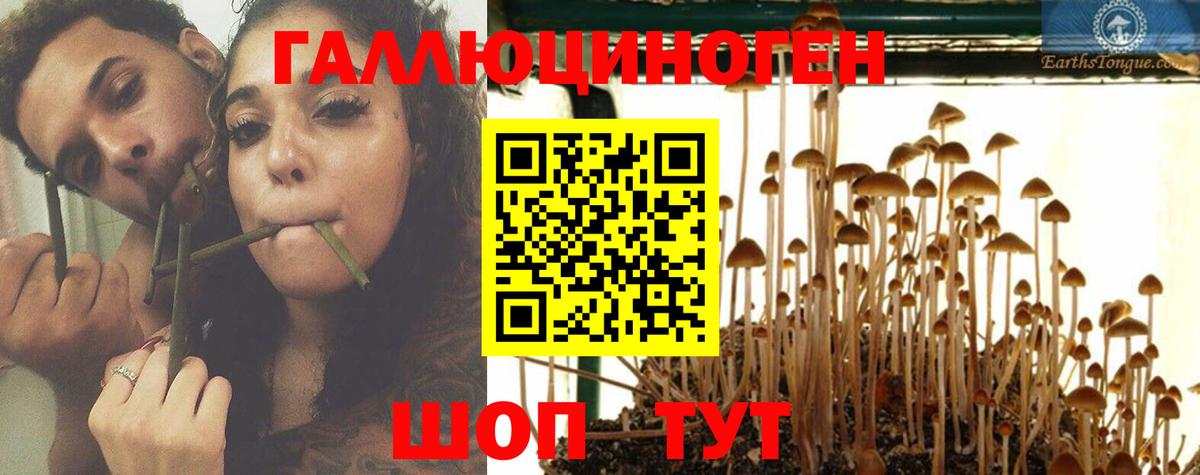 Краснокаменск  Галлюциногенные грибы GOLDEN TEACHER  Вход с VPN 