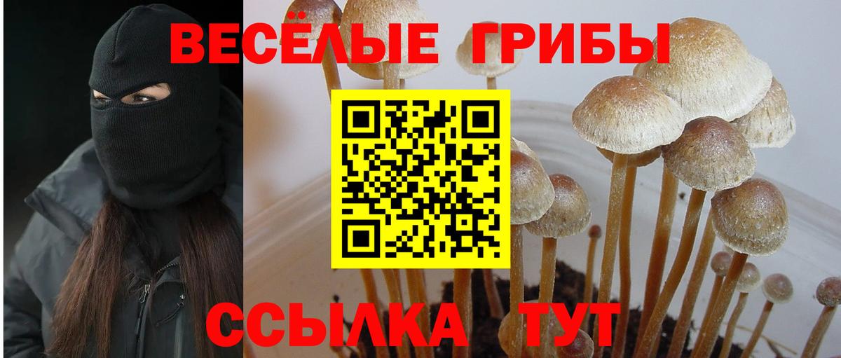 Галлюциногенные грибы Cubensis Краснокаменск